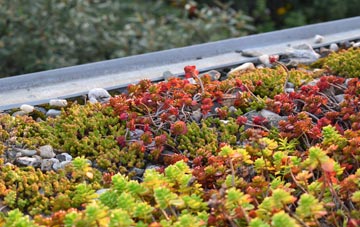 the cost of Achnahanat green roof installation