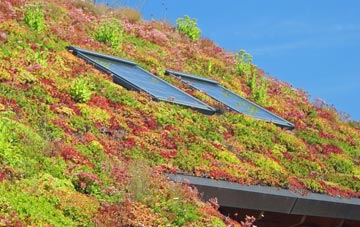 Achnahanat living roof systems