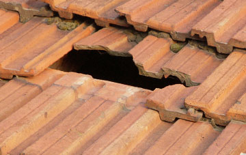 roof repair Achnahanat, Highland